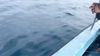 Утренний малый борт и Mr. Rohan - рыбалка в Индийском океане