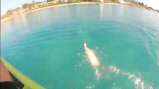 Плайя-дель-Кармен, каяк и сенот в один день - рыбалка в Карибском море