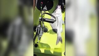 Плайя-дель-Кармен, каяк и сенот в один день - рыбалка в Карибском море