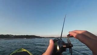 Любимовка, ласкирь и укол ядовитой рыбой - рыбалка в Севастополе с каяка