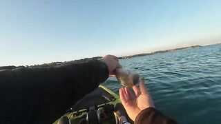 Любимовка, ласкирь и укол ядовитой рыбой - рыбалка в Севастополе с каяка