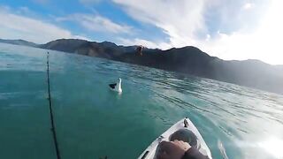 К подводной траншее на каяке - рыбалка в Новой Зеландии