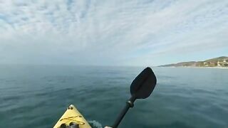 Декабрь, каяк и рыба прямо с воды - рыбалка в Лазаревском на море