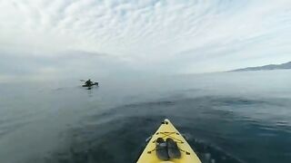 Декабрь, каяк и рыба прямо с воды - рыбалка в Лазаревском на море