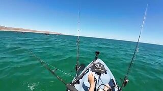 Team USA против Мексики у Ла-Паса - рыбалка в Мексике с офшорного каяка