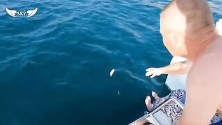 Три часа в море, купание и ставрида - морская рыбалка в Лазаревском