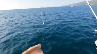 Три часа в море, купание и ставрида - морская рыбалка в Лазаревском