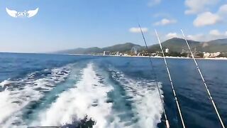 Три часа в море, купание и ставрида - морская рыбалка в Лазаревском