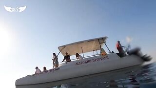 Три часа в море, купание и ставрида - морская рыбалка в Лазаревском