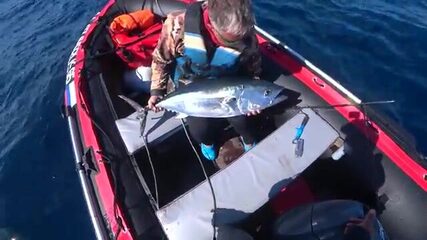 Голубой тунец с малой моторки - рыбалка на Сахалине