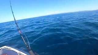 Голубой тунец с малой моторки - рыбалка на Сахалине