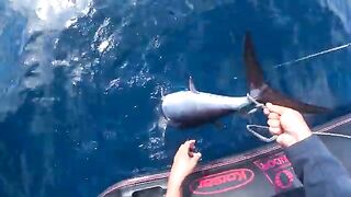 Голубой тунец с малой моторки - рыбалка на Сахалине