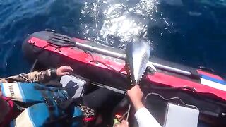 Голубой тунец с малой моторки - рыбалка на Сахалине