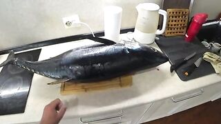 Голубой тунец с малой моторки - рыбалка на Сахалине