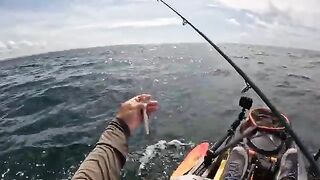 Офшорный каяк, живец и первый snapper - рыбалка в Флориде у Navarre Beach