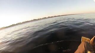 Striper, bluefish и переворот каяка в прибое - рыбалка в США у Нью-Джерси