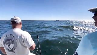 Fluke, porgy и частный чартер у Long Island - рыбалка в Нью-Йорке