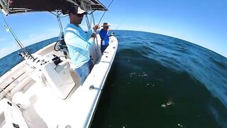 Fluke, porgy и частный чартер у Long Island - рыбалка в Нью-Йорке