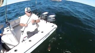 Fluke, porgy и частный чартер у Long Island - рыбалка в Нью-Йорке