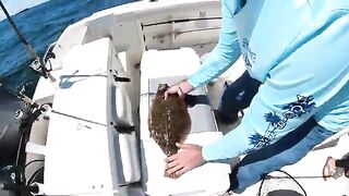 Fluke, porgy и частный чартер у Long Island - рыбалка в Нью-Йорке