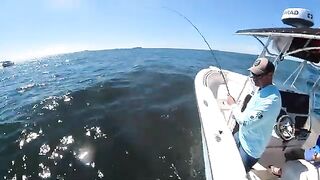 Fluke, porgy и частный чартер у Long Island - рыбалка в Нью-Йорке