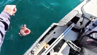 Ветер, волна и награда на каяке - рыбалка в США в жёсткий offshore день