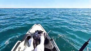 Ветер, волна и награда на каяке - рыбалка в США в жёсткий offshore день