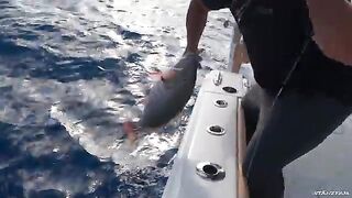 Mutton snapper утром, Snipes Key потом - рыбалка во Флориде у Key West