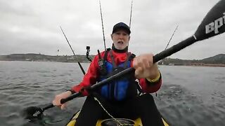 Долгий поиск yellowtail у La Jolla Shores - морская рыбалка в Калифорнии с каяка
