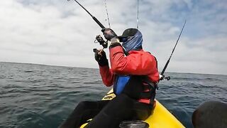 Долгий поиск yellowtail у La Jolla Shores - морская рыбалка в Калифорнии с каяка