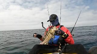 Долгий поиск yellowtail у La Jolla Shores - морская рыбалка в Калифорнии с каяка