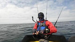 Долгий поиск yellowtail у La Jolla Shores - морская рыбалка в Калифорнии с каяка