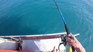 Банг Сарэй, живец и морской окунь - морская рыбалка в Таиланде