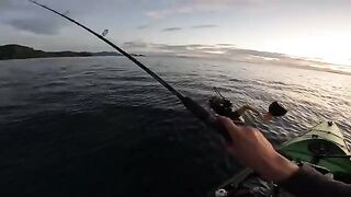 Турнирный день и big fish на каяке - рыбалка в Новой Зеландии у Короманделя
