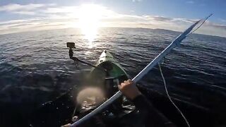 Турнирный день и big fish на каяке - рыбалка в Новой Зеландии у Короманделя