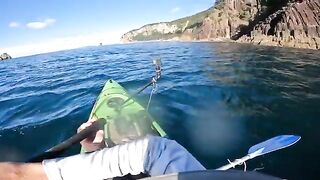 Турнирный день и big fish на каяке - рыбалка в Новой Зеландии у Короманделя