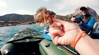 Пять видов и ядовитая рыба - рыбалка на Черном море с сыном на каяке