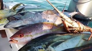 Лобстер, snapper и tuna за один день - рыбалка в Флориде на Флорида-Кис