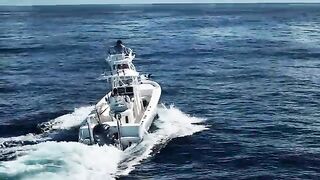 Лобстер, snapper и tuna за один день - рыбалка в Флориде на Флорида-Кис