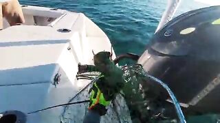 Лобстер, snapper и tuna за один день - рыбалка в Флориде на Флорида-Кис