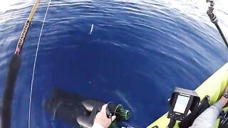 54 lb shibi и бой 1:12 - рыбалка на Гавайях с каяка