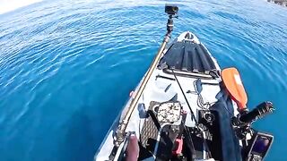 Шторм и ядовитая рыба - рыбалка в Средиземном море у Италии на чемпионате мира