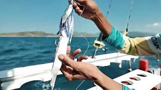 Сначала маршрут, потом тунец и сашими - рыбалка на Пхукете