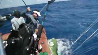 Три blue marlin и mahi на ужин - рыбалка на марлина в Доминикане