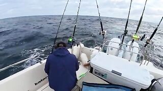 Соревновательный день по тунцу - рыбалка на Сахалине с большого катера