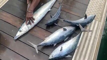 Ливень, малая лодка и ваху - рыбалка на Сейшелах