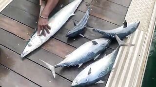 Ливень, малая лодка и ваху - рыбалка на Сейшелах