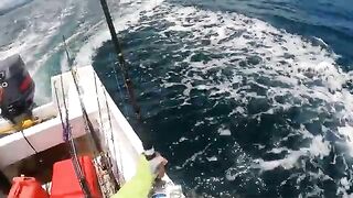 Wahoo на троллинг, yellowfin на джиг - рыбалка в Панаме у Los Buzos