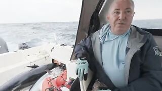 Итуруп и тихоокеанский bluefin - рыбалка в Тихом океане с лодки