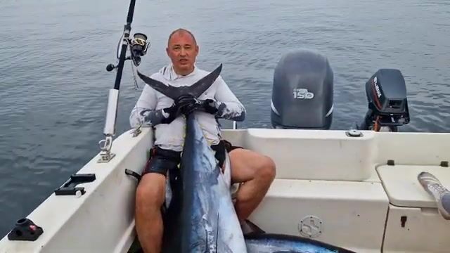 Итуруп и тихоокеанский bluefin - рыбалка в Тихом океане с лодки